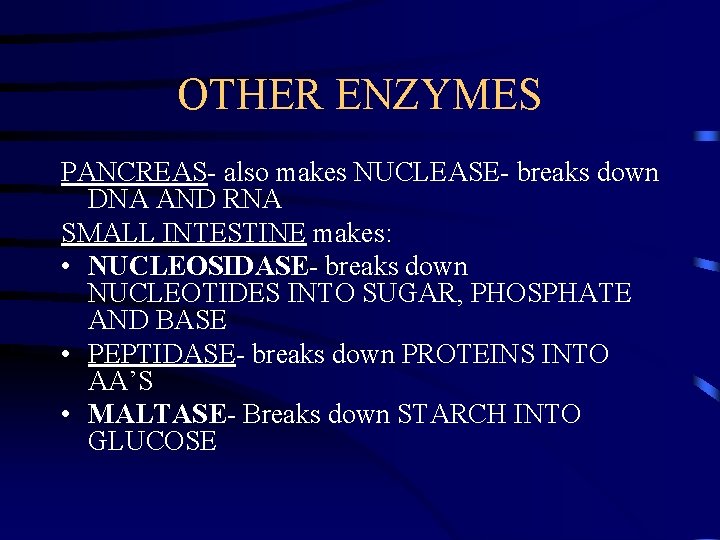 OTHER ENZYMES PANCREAS- also makes NUCLEASE- breaks down DNA AND RNA SMALL INTESTINE makes: