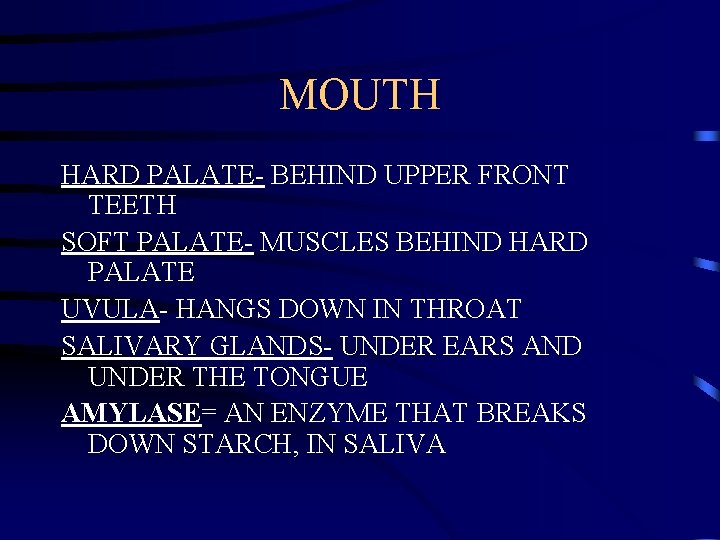 MOUTH HARD PALATE- BEHIND UPPER FRONT TEETH SOFT PALATE- MUSCLES BEHIND HARD PALATE UVULA-