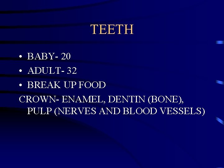 TEETH • BABY- 20 • ADULT- 32 • BREAK UP FOOD CROWN- ENAMEL, DENTIN