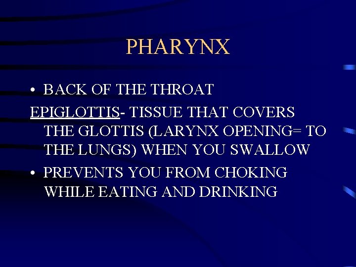 PHARYNX • BACK OF THE THROAT EPIGLOTTIS- TISSUE THAT COVERS THE GLOTTIS (LARYNX OPENING=