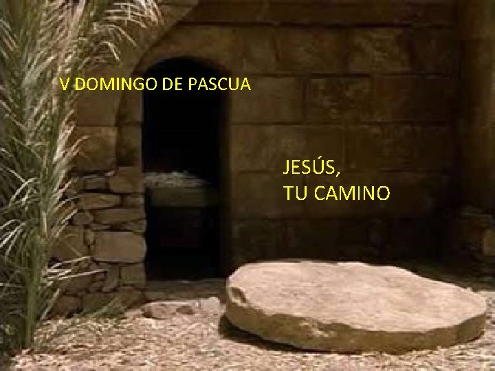 ¡Da vida! V DOMINGO DE PASCUA ¡Disfruta JESÚS, de la vida! TU CAMINO 