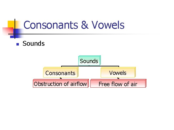 Consonants & Vowels n Sounds Consonants Vowels Obstruction of airflow Free flow of air