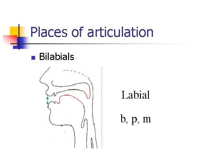 Places of articulation n Bilabials 