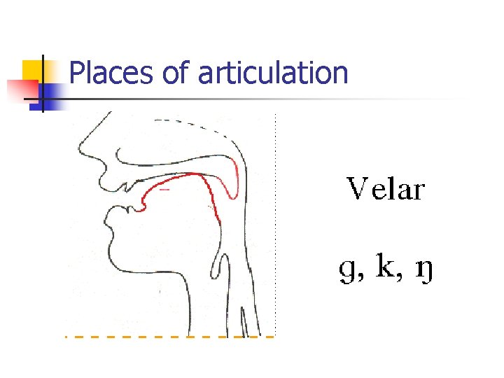 Places of articulation 