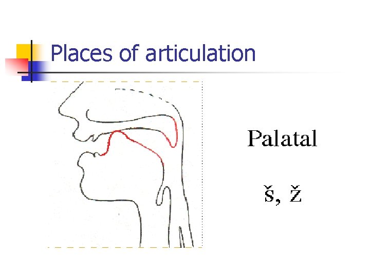 Places of articulation 