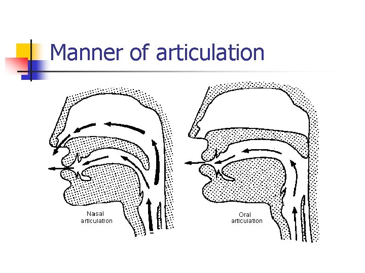 Manner of articulation 