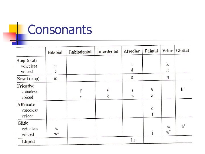 Consonants 