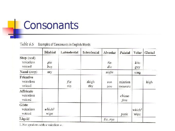 Consonants 