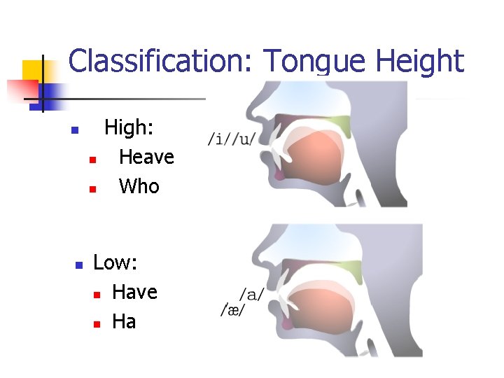 Classification: Tongue Height n n High: Heave Who Low: n Have n Ha 