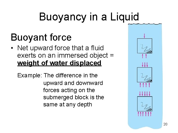 Buoyancy in a Liquid Buoyant force • Net upward force that a fluid exerts