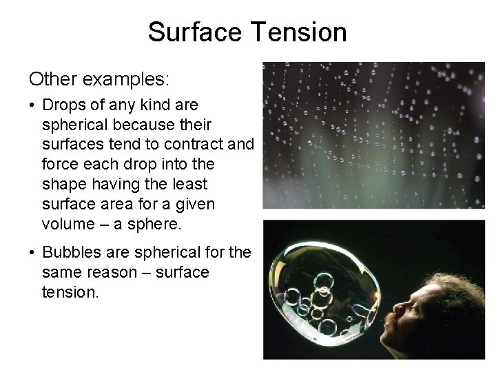 Surface Tension Other examples: • Drops of any kind are spherical because their surfaces