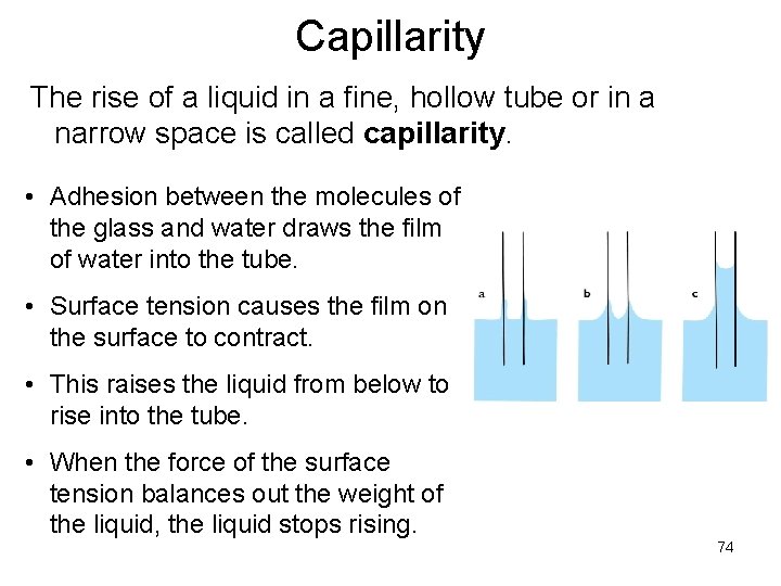 Capillarity The rise of a liquid in a fine, hollow tube or in a