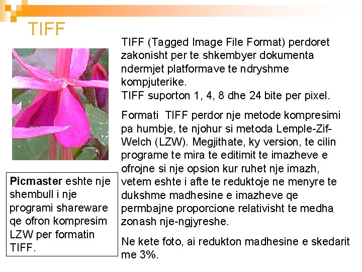 TIFF (Tagged Image File Format) perdoret zakonisht per te shkembyer dokumenta ndermjet platformave te