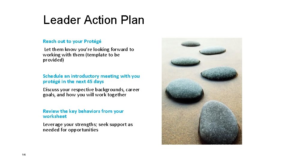 Leader Action Plan Reach out to your Protégé Let them know you’re looking forward
