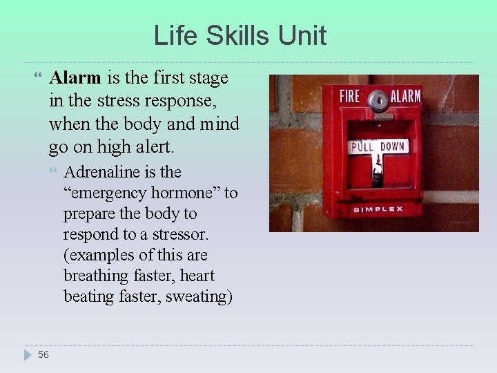 Life Skills Unit Alarm is the first stage in the stress response, when the