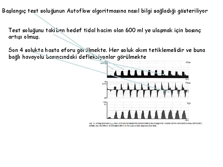 Başlangıç test soluğunun Autoflow algoritmasına nasıl bilgi sağladığı gösteriliyor Test soluğunu takiben hedef tidal