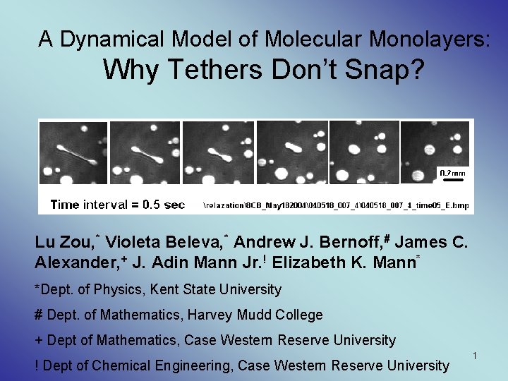 A Dynamical Model of Molecular Monolayers: Why Tethers Don’t Snap? Lu Zou, * Violeta