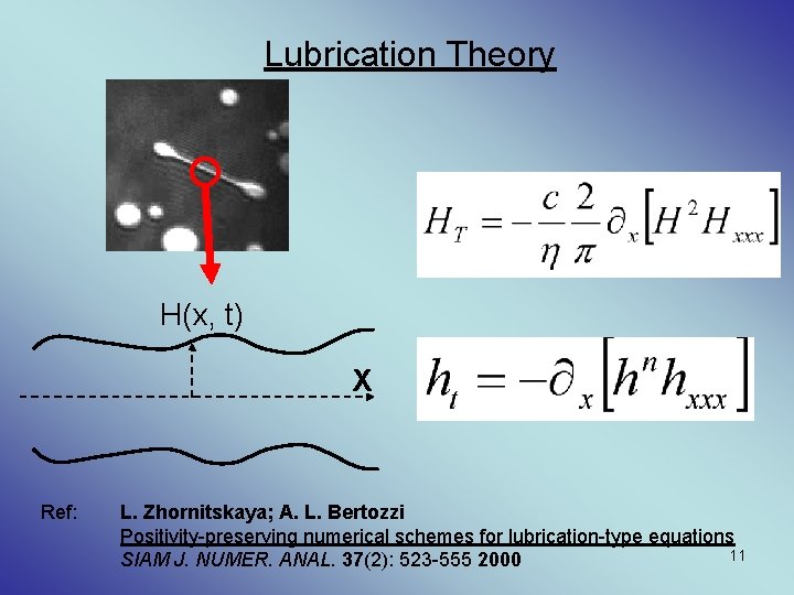 Lubrication Theory H(x, t) X Ref: L. Zhornitskaya; A. L. Bertozzi Positivity-preserving numerical schemes