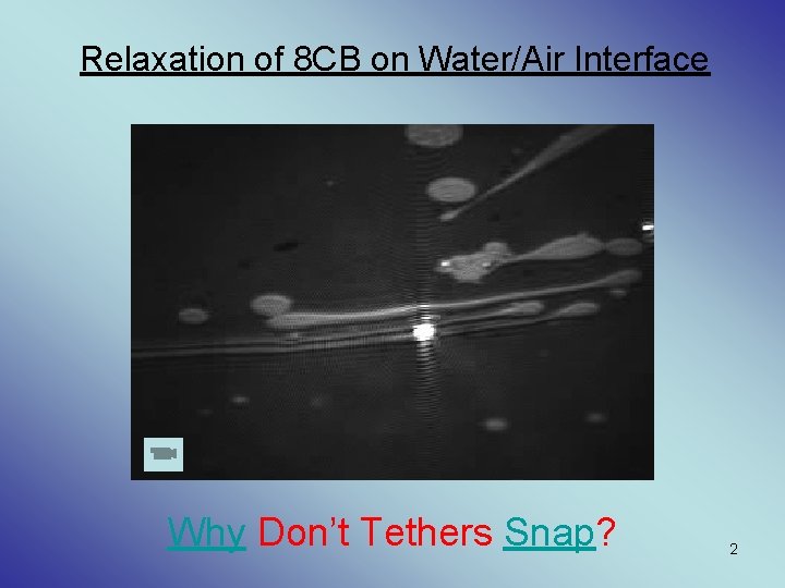 Relaxation of 8 CB on Water/Air Interface Why Don’t Tethers Snap? 2 