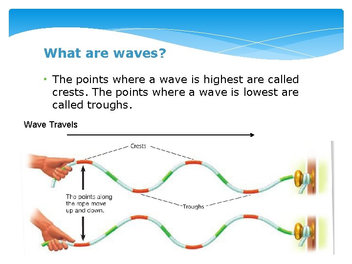 What are waves? • The points where a wave is highest are called crests.