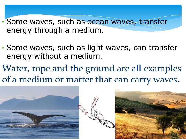  • Some waves, such as ocean waves, transfer energy through a medium. •