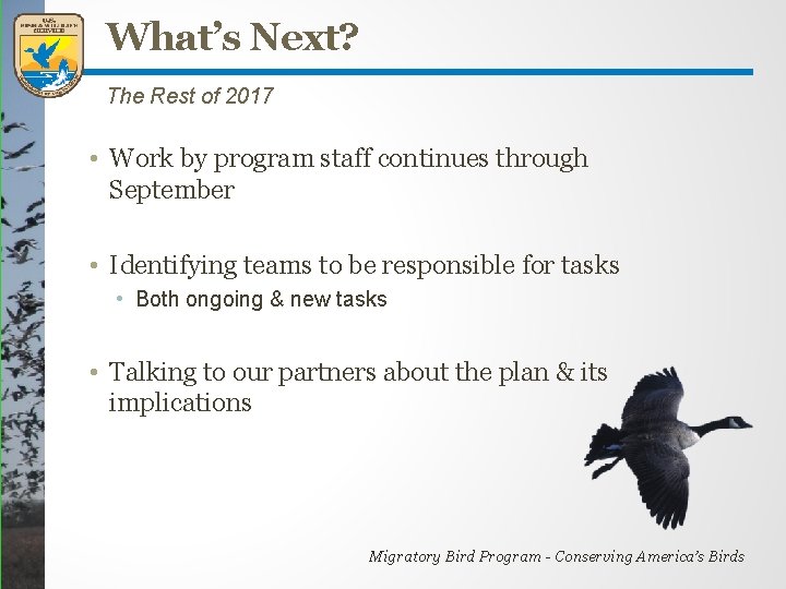 What’s Next? The Rest of 2017 • Work by program staff continues through September What’s Next? The Rest of 2017 • Work by program staff continues through September