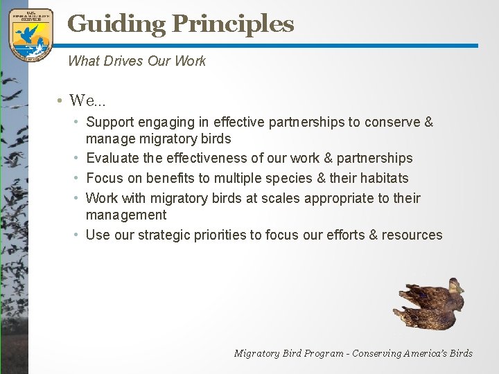 Guiding Principles What Drives Our Work • We… • Support engaging in effective partnerships Guiding Principles What Drives Our Work • We… • Support engaging in effective partnerships