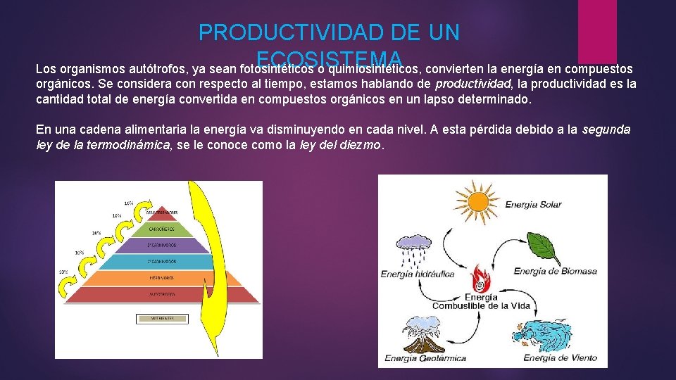 PRODUCTIVIDAD DE UN ECOSISTEMA Los organismos auttrofos ya