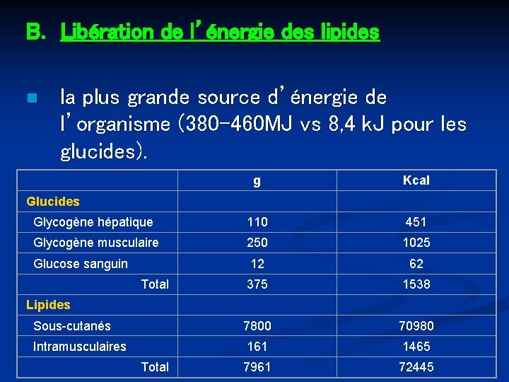 B. Libération de l’énergie des lipides n la plus grande source d’énergie de l’organisme B. Libération de l’énergie des lipides n la plus grande source d’énergie de l’organisme
