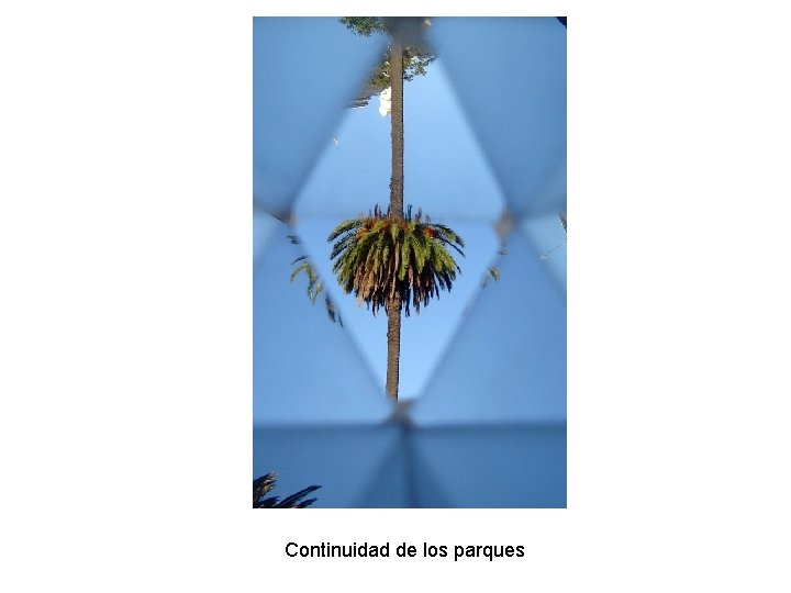 Continuidad de los parques 