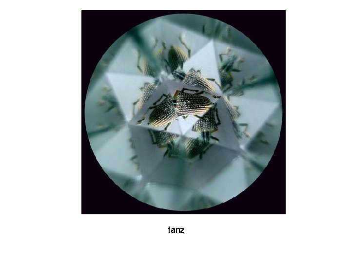 tanz 