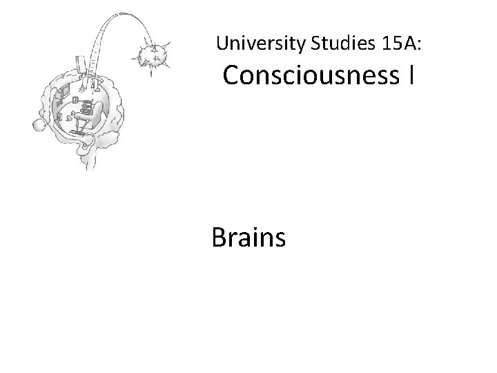 University Studies 15 A: Consciousness I Brains 