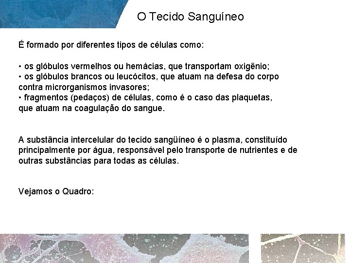 O Tecido Sanguíneo É formado por diferentes tipos de células como: • os glóbulos