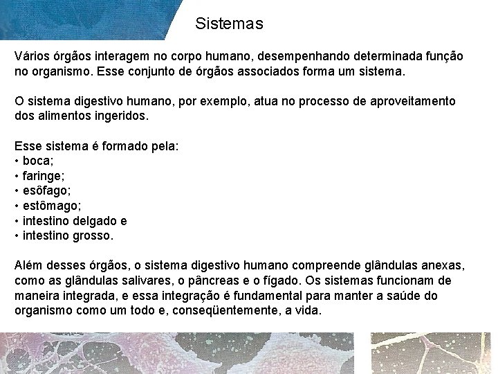 Sistemas Vários órgãos interagem no corpo humano, desempenhando determinada função no organismo. Esse conjunto