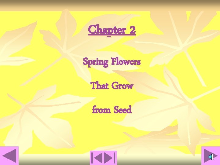 Chapter 2 Spring Flowers That Grow from Seed 