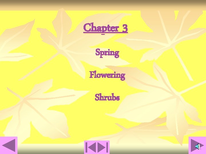Chapter 3 Spring Flowering Shrubs 