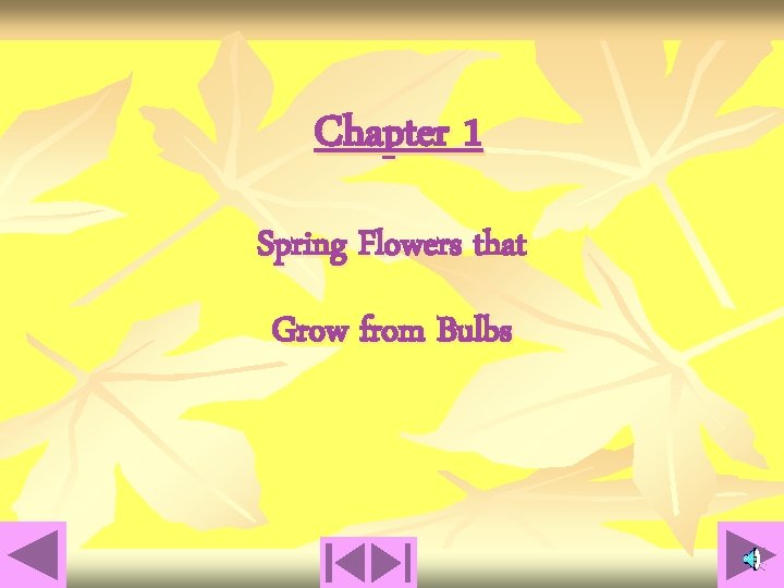 Chapter 1 Spring Flowers that Grow from Bulbs 