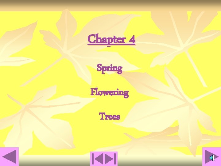 Chapter 4 Spring Flowering Trees 