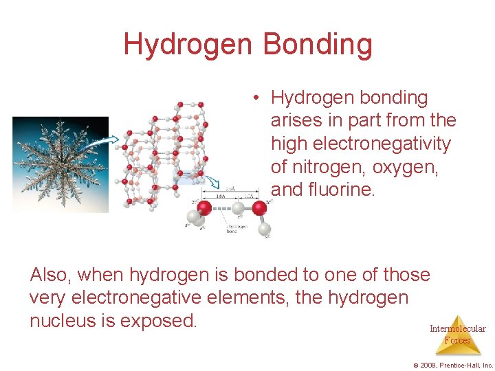 Hydrogen Bonding • Hydrogen bonding arises in part from the high electronegativity of nitrogen,
