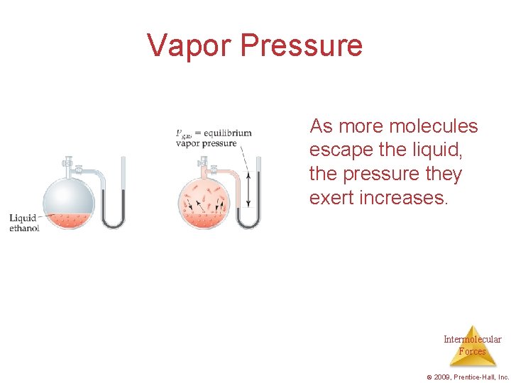 Vapor Pressure As more molecules escape the liquid, the pressure they exert increases. Intermolecular