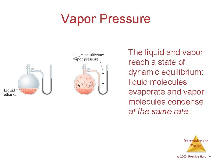 Vapor Pressure The liquid and vapor reach a state of dynamic equilibrium: liquid molecules