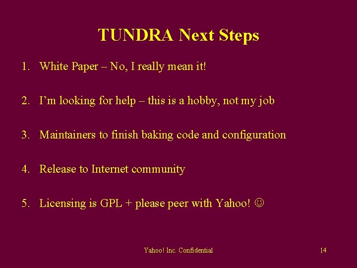 TUNDRA Next Steps 1. White Paper – No, I really mean it! 2. I’m