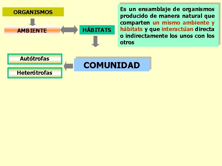 ORGANISMOS AMBIENTE Autótrofas Heterótrofas HÁBITATS Es un ensamblaje de organismos producido de manera natural