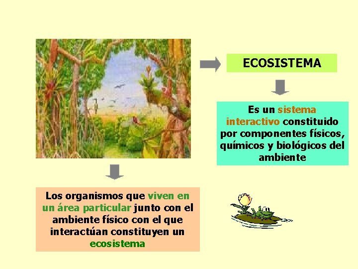 ECOSISTEMA Es un sistema interactivo constituido por componentes físicos, químicos y biológicos del ambiente
