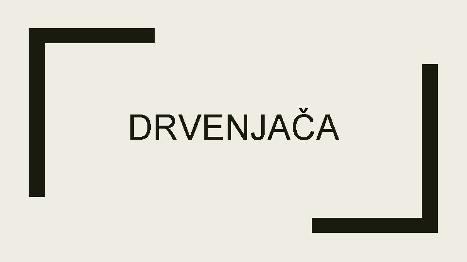 DRVENJAČA 