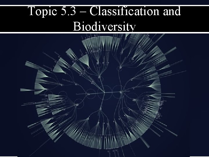 Topic 5. 3 – Classification and Biodiversity 