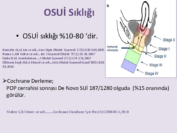 OSUİ Sıklığı • OSUİ sıklığı %10 -80 ‘dir. Haessler AL, LL Lin ve ark…Curr