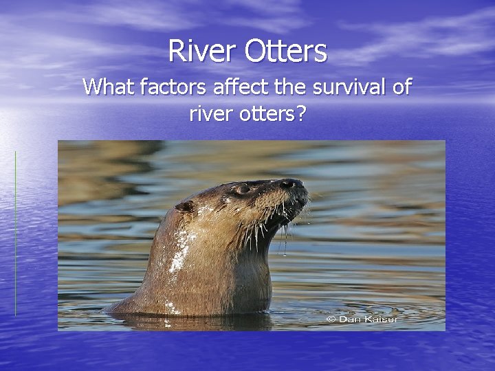 River Otters What factors affect the survival of river otters? 