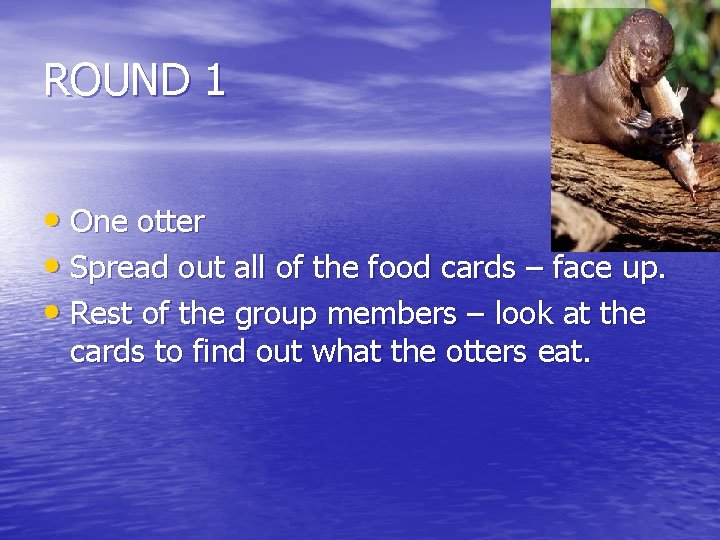 ROUND 1 • One otter • Spread out all of the food cards –