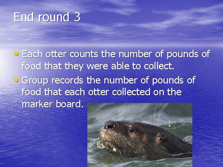 End round 3 • Each otter counts the number of pounds of food that
